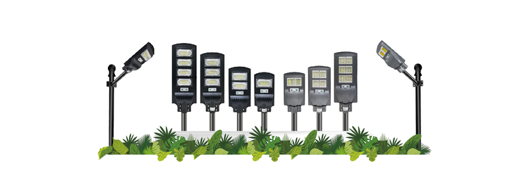 Solar Street Light