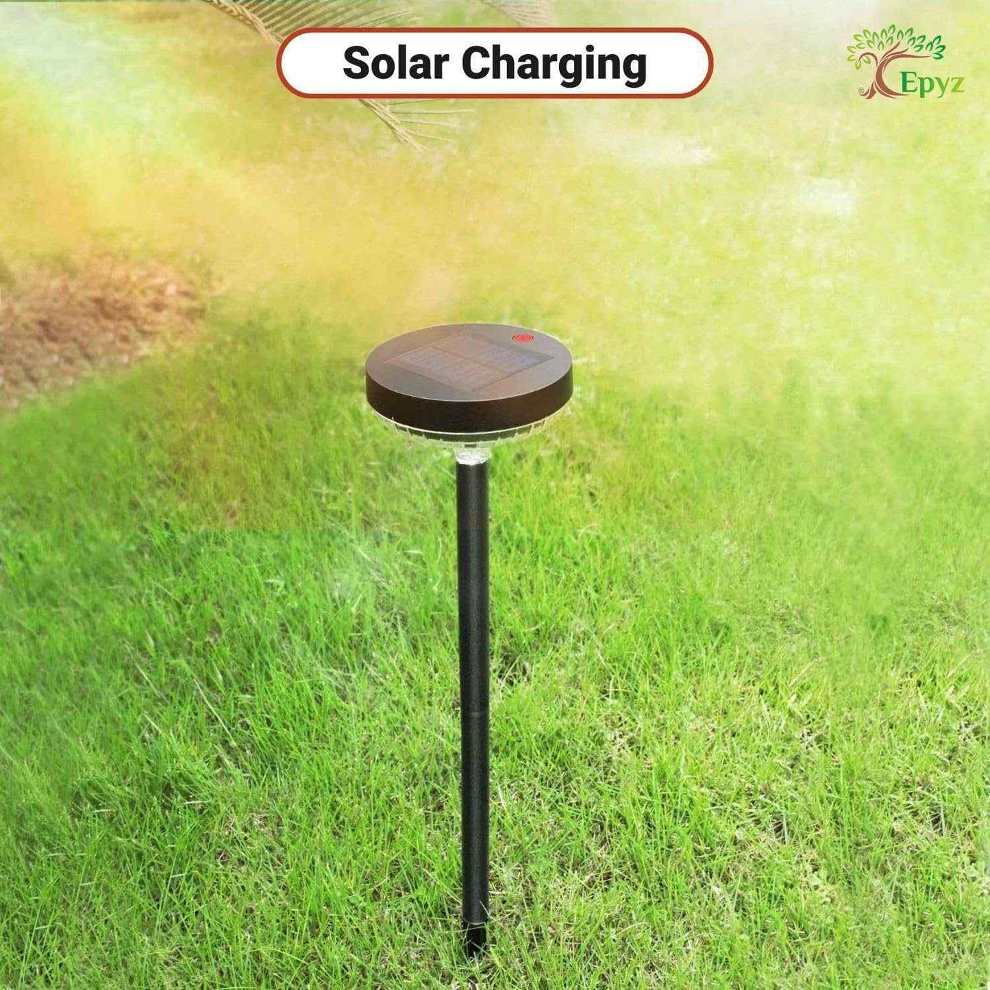 Solar Garden Pathway Light – Multicolor (Pack of 1)