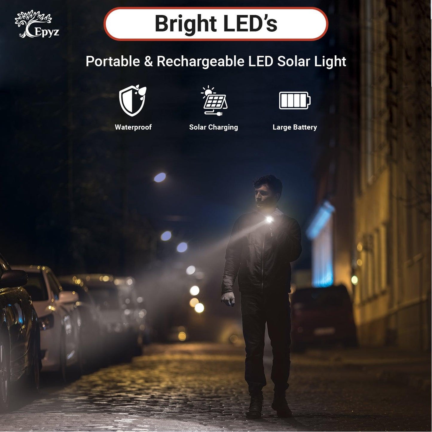 Buy Online Solar Torch Lights