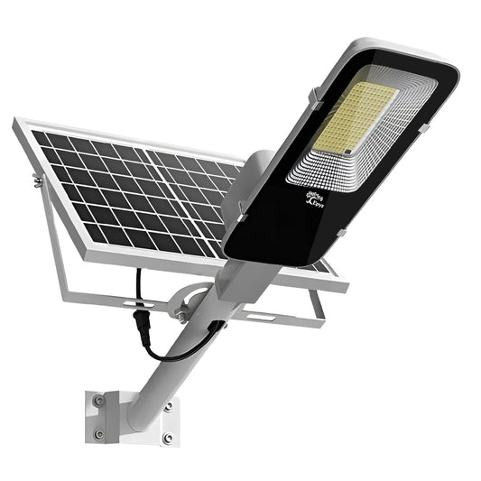 EPYZ 50 WATT SEMI-INTEGRATED SOLAR STREET LIGHT