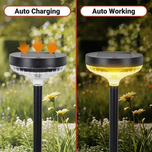 Solar Garden Pathway Light – Multicolor (Pack of 1)