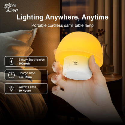 SOLAR TABLE LAMP (WARM WHITE AND RGB LED)