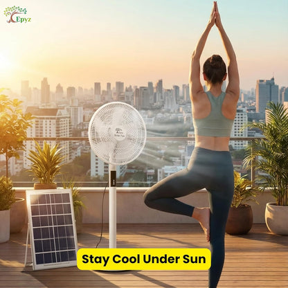 Solar portable fan