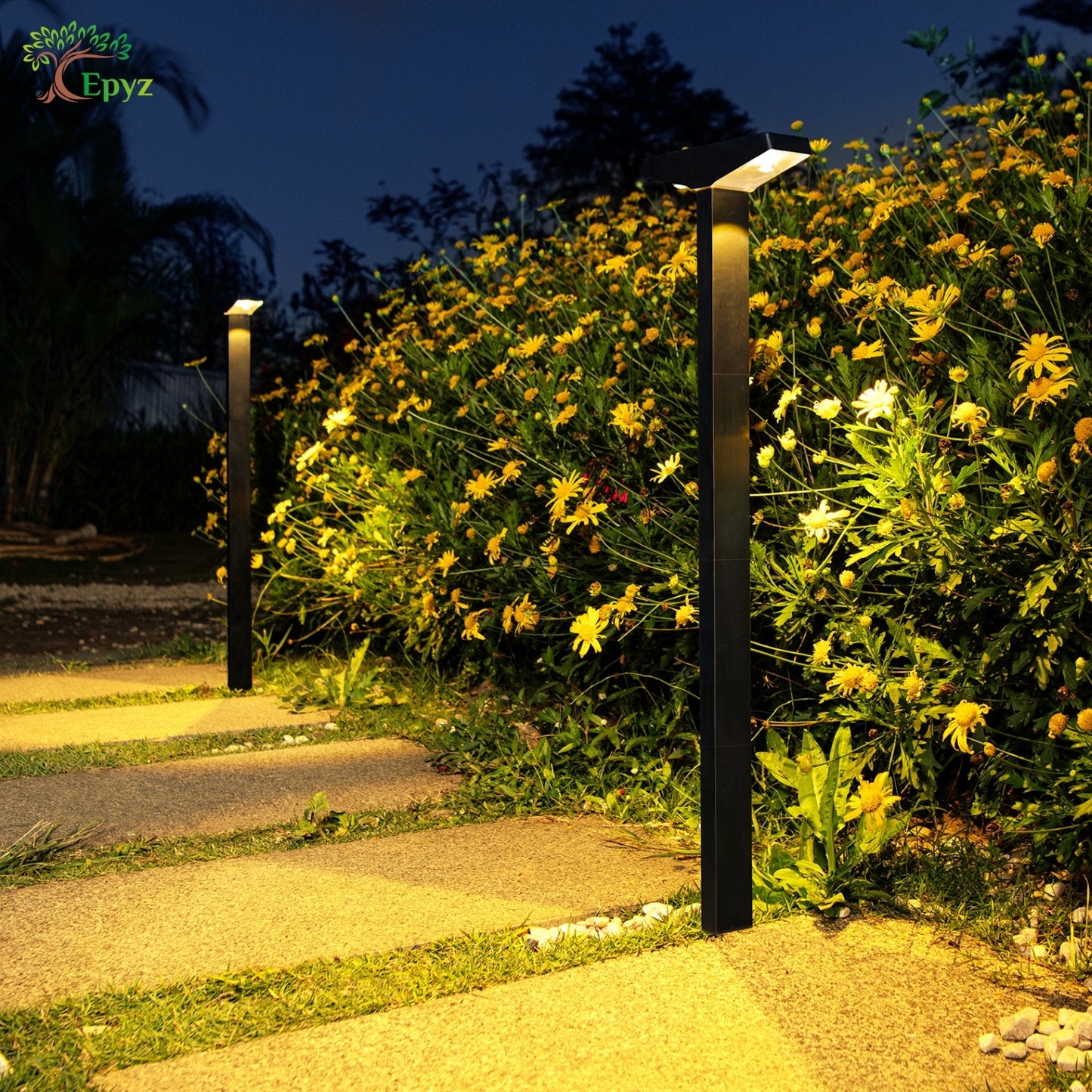SOLAR PATHWAY LIGHT FOR OUTDOOR (WARM & WHITE COLOUR)