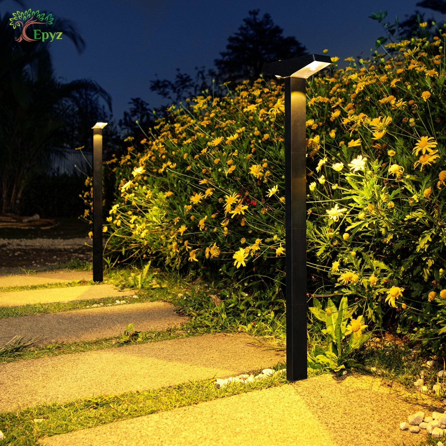 SOLAR PATHWAY LIGHT FOR OUTDOOR (WARM & WHITE COLOUR)
