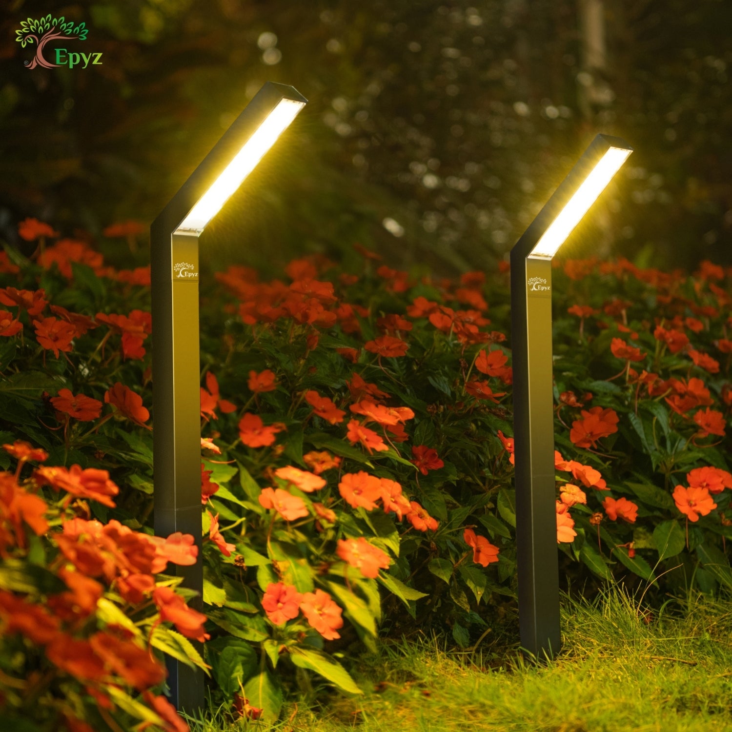 SOLAR PATHWAY LIGHT BRIGHT PATH LIGHTS FOR OUTDOOR