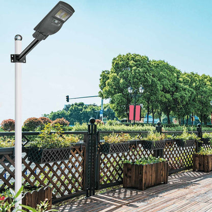 30 Watt Solar Street Warm Lights (With Pole)