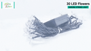 Solar Sakura String 30 LED Light ( Buy 1 Get 1 Free ! )