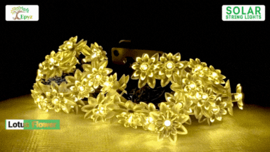 Solar Lotus Flower String Lights - Epyz ( Buy 1 Get 1 Free ! )