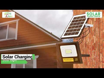 50 Watt Solar Flood Light (Warm Light)