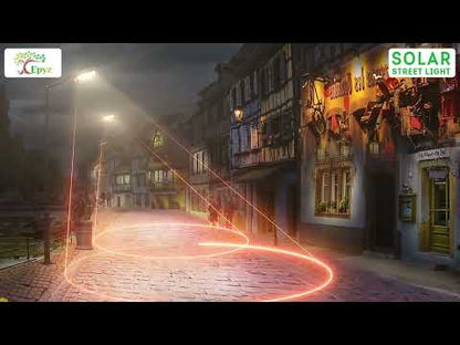 150 Watt Hexagon Solar Street Light (White Light)