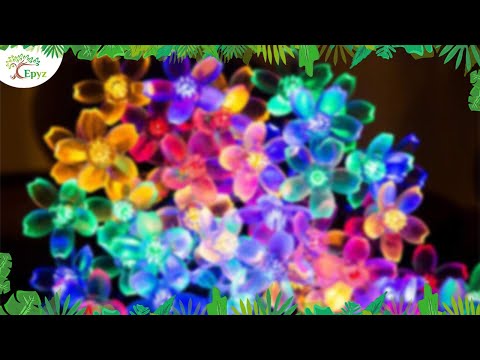 Solar Flower Lights For Home Decor Multicolour - Epyz( Buy 1 Get 1 Free ! )