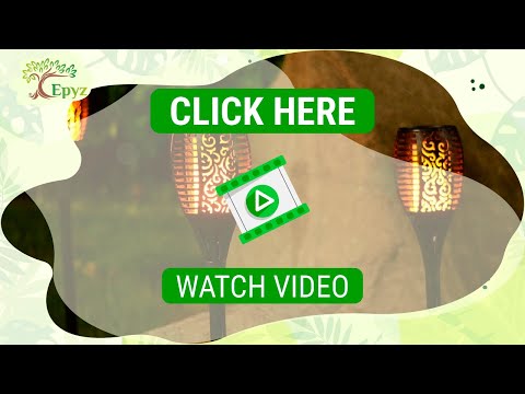 Mashaal 96 Led Solar Garden Lights