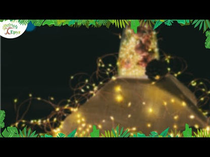 Solar String lights 100 LED - Solar For Nature( Buy 1 Get 1 Free ! )