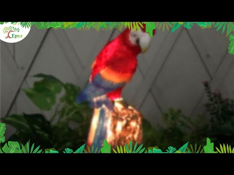 Solar Garden Light Parrot