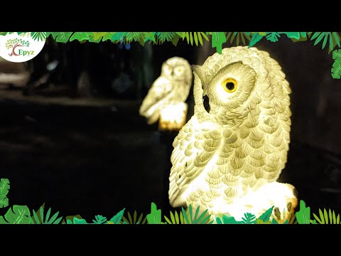Solar Owl Garden Light For Home - Solar For Nature