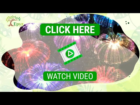 Jellyfish Solar Light For Outdoor (Buy 1 Get 1 Free !)