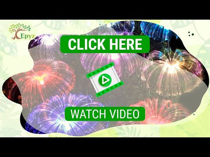 Jellyfish Solar Light For Outdoor (Buy 1 Get 1 Free !)